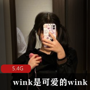 （wink是可爱的wink）露脸私拍合集